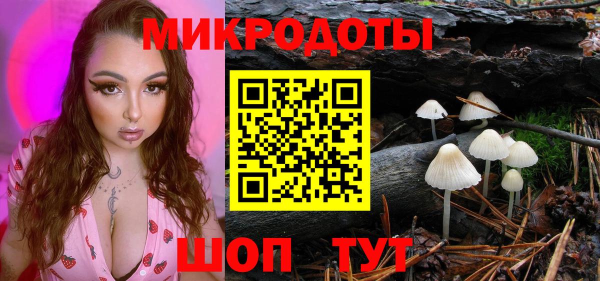 Галлюциногенные грибы Cubensis Гусь-Хрустальный
