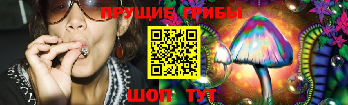 Псилоцибиновые грибы прущие грибы  Вход с VPN  Гусь-Хрустальный 